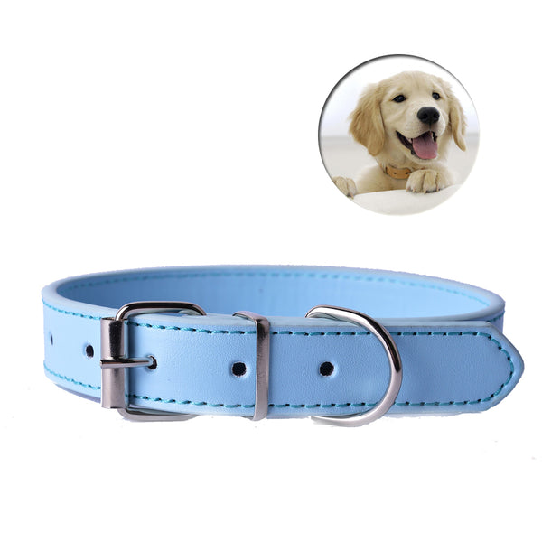 Leather Pet Dog Collar For Puppy - Thepetlifestyle