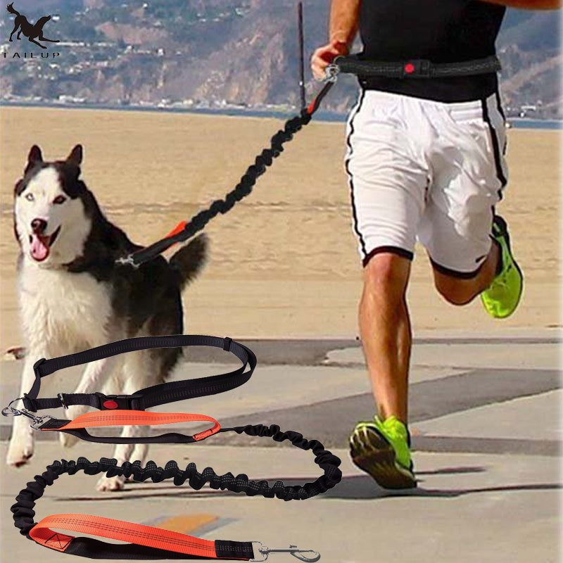 Dogs Leash Running Elasticity Hand Freely - Thepetlifestyle