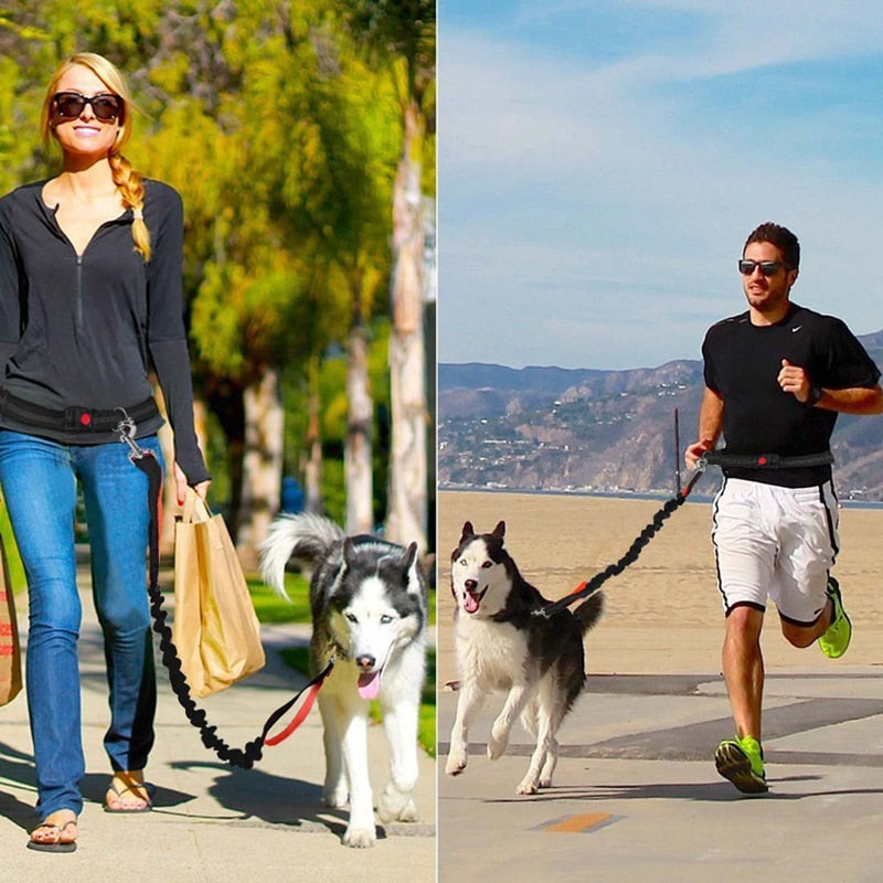 Dogs Leash Running Elasticity Hand Freely - Thepetlifestyle