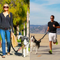 Dogs Leash Running Elasticity Hand Freely - Thepetlifestyle