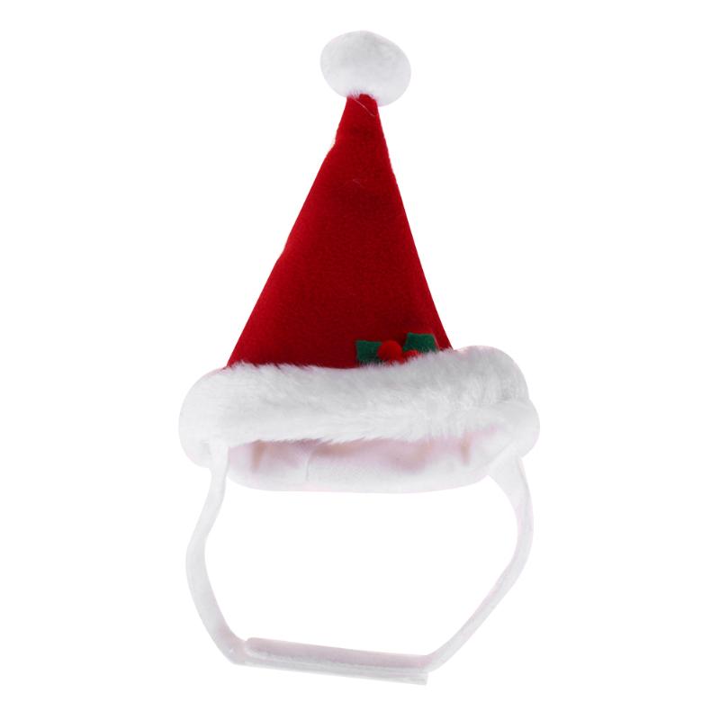 Christmas Santa Claus Hat Warm Winter Hat Cap - Thepetlifestyle