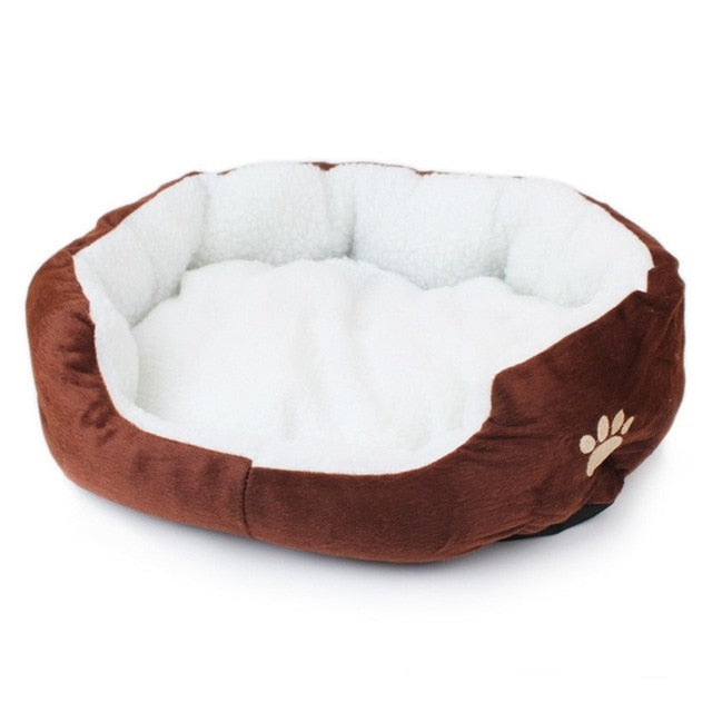 Best Bed for dogs - Thepetlifestyle