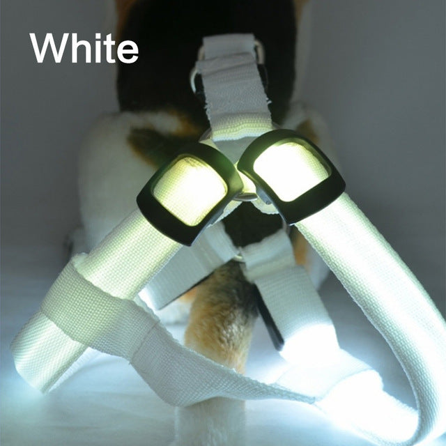 Dog Harness Cat Safety LED Flashing Light Harness - Thepetlifestyle