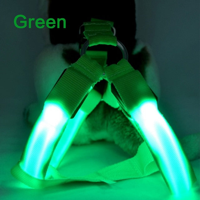 Dog Harness Cat Safety LED Flashing Light Harness - Thepetlifestyle