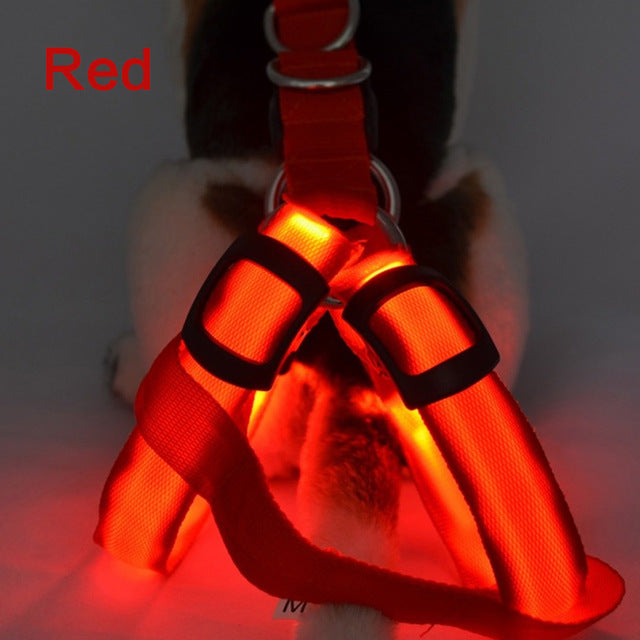 Dog Harness Cat Safety LED Flashing Light Harness - Thepetlifestyle
