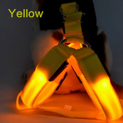 Dog Harness Cat Safety LED Flashing Light Harness - Thepetlifestyle