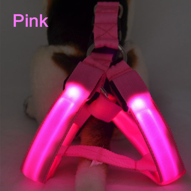 Dog Harness Cat Safety LED Flashing Light Harness - Thepetlifestyle