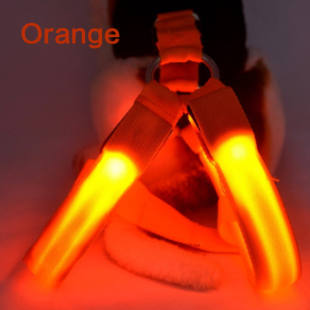 Dog Harness Cat Safety LED Flashing Light Harness - Thepetlifestyle