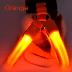 Dog Harness Cat Safety LED Flashing Light Harness - Thepetlifestyle