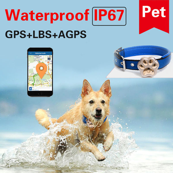 Vehicle Dogs GPS Tracker Waterproof GPRS GSM WIFI - Thepetlifestyle