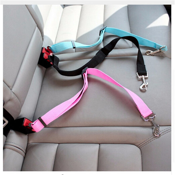 Seat Lead Leash Dog Harness and Safety Seat Belt - Thepetlifestyle