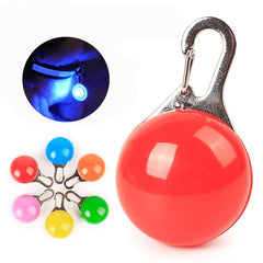 Pet Night Safety LED Flashlight Dog Collar Leads Lights - Thepetlifestyle