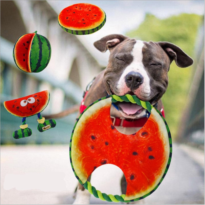 Best Canvas Watermelon Designed Dog Toy - Thepetlifestyle