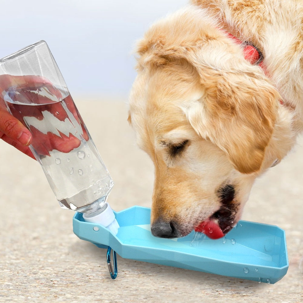 Travel Water Bottle Dispenser Foldable Plastic Dog - Thepetlifestyle