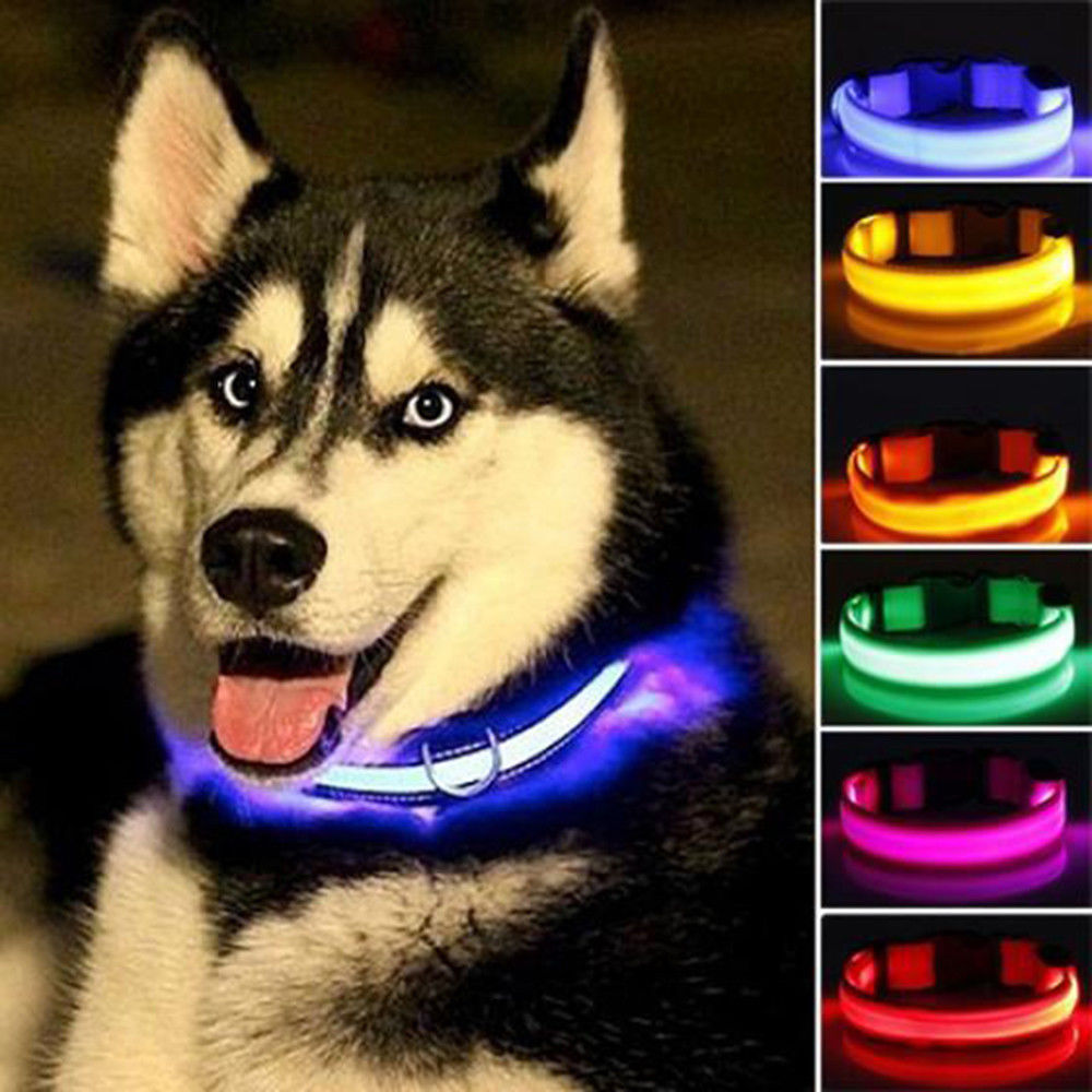 LED Pet dog Collar Night Safety Flashing - Thepetlifestyle