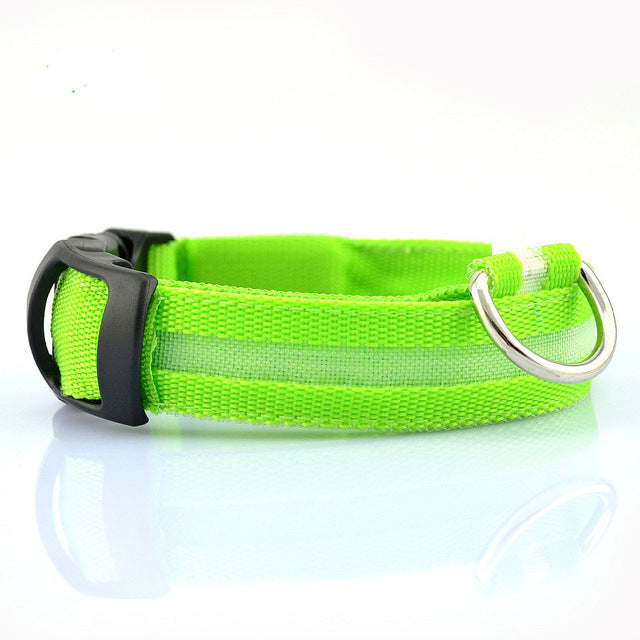 LED Pet dog Collar Night Safety Flashing - Thepetlifestyle