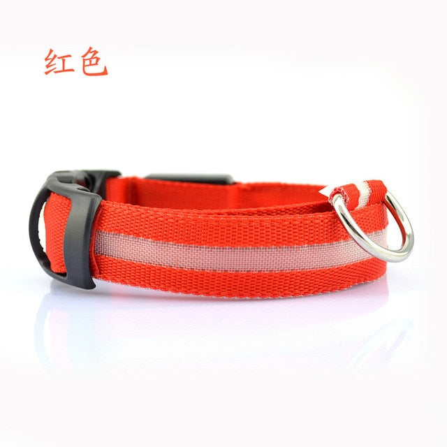 LED Pet dog Collar Night Safety Flashing - Thepetlifestyle