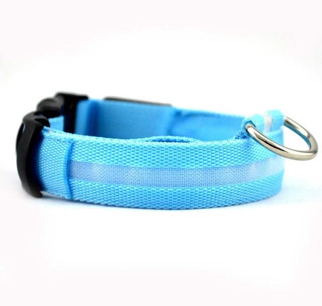 LED Pet dog Collar Night Safety Flashing - Thepetlifestyle
