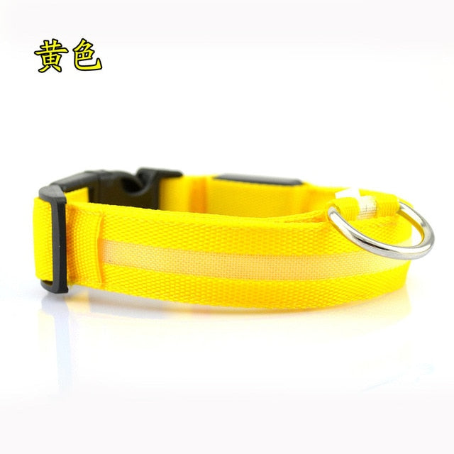 LED Pet dog Collar Night Safety Flashing - Thepetlifestyle