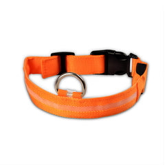 LED Pet dog Collar Night Safety Flashing - Thepetlifestyle