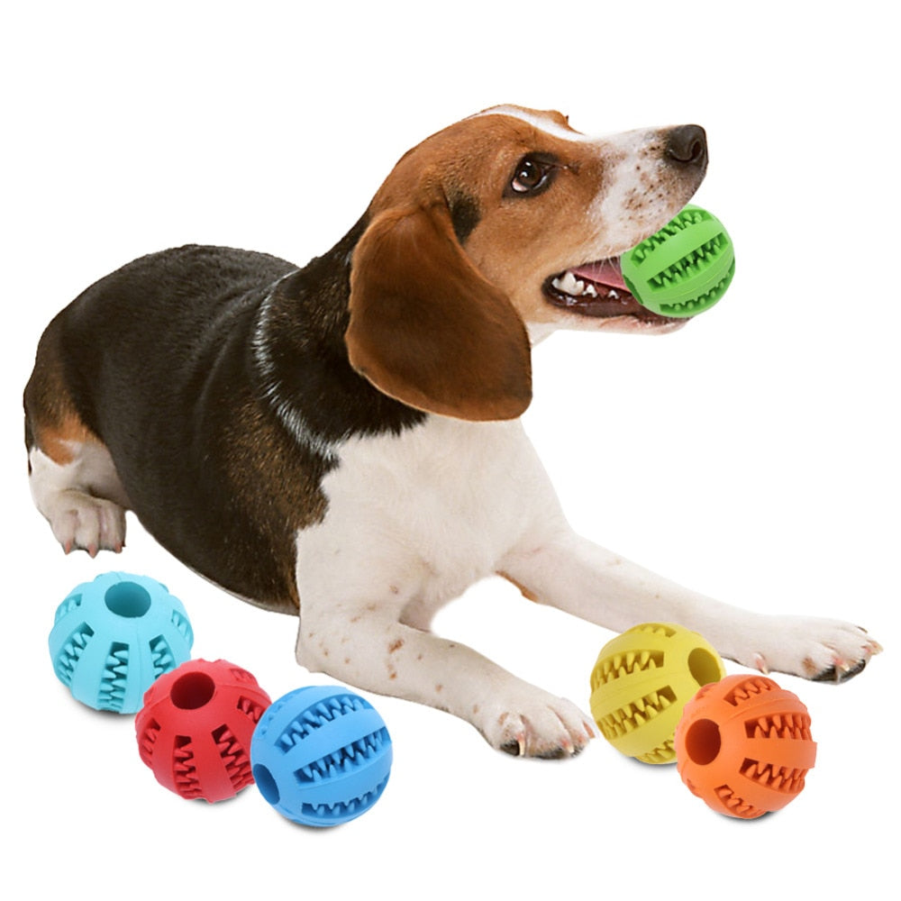 Best Interactive Rubber Balls for Dog - Thepetlifestyle