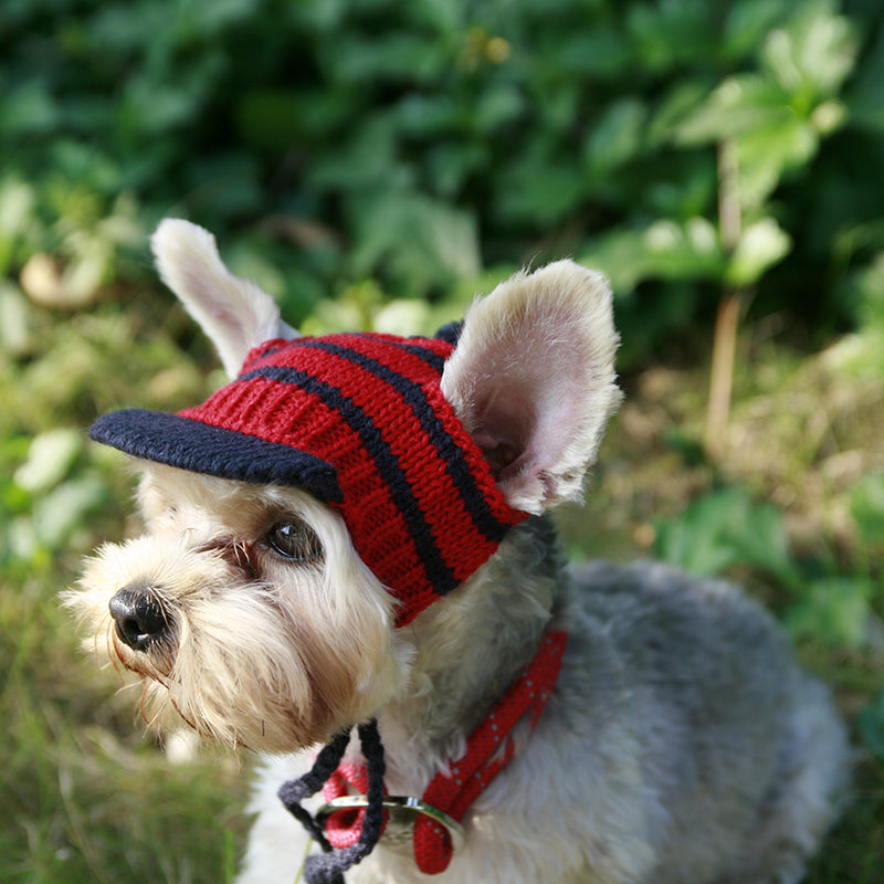 Hat Sun-proof Handmade Small Little Cap - Thepetlifestyle