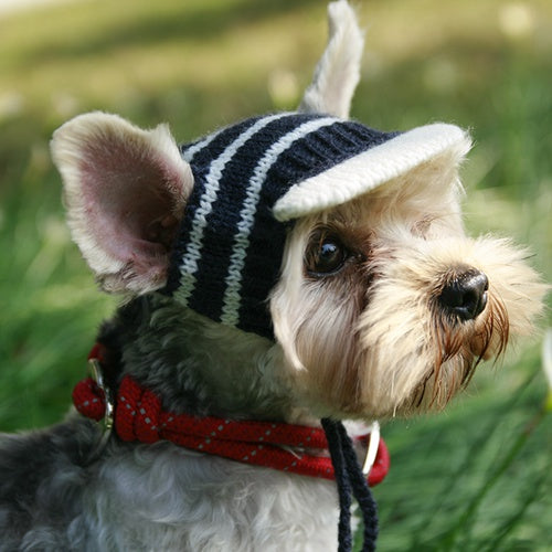 Hat Sun-proof Handmade Small Little Cap - Thepetlifestyle