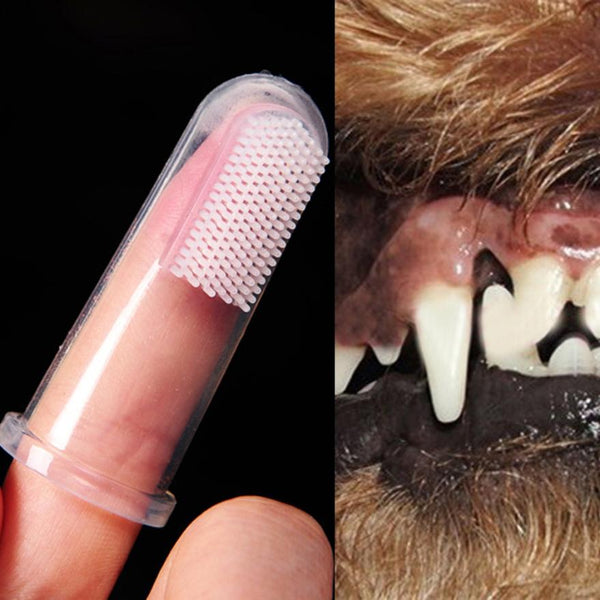 Pet Finger Toothbrush Teddy Dog Brush - Thepetlifestyle