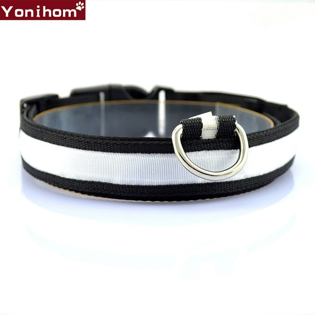 LED Dog Collar Luminous Night Safety Flashing - Thepetlifestyle
