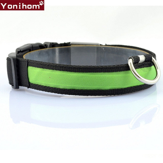 LED Dog Collar Luminous Night Safety Flashing - Thepetlifestyle