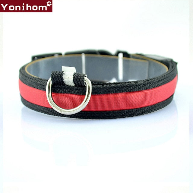 LED Dog Collar Luminous Night Safety Flashing - Thepetlifestyle