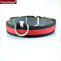 LED Dog Collar Luminous Night Safety Flashing - Thepetlifestyle