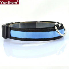LED Dog Collar Luminous Night Safety Flashing - Thepetlifestyle