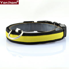 LED Dog Collar Luminous Night Safety Flashing - Thepetlifestyle
