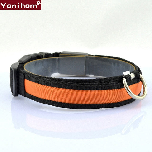LED Dog Collar Luminous Night Safety Flashing - Thepetlifestyle