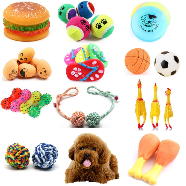 Rubber Squeak Toy for Dog & Training Pet Toy - Thepetlifestyle