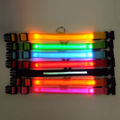 LED Dog Collar Night Safety Flashing - Thepetlifestyle