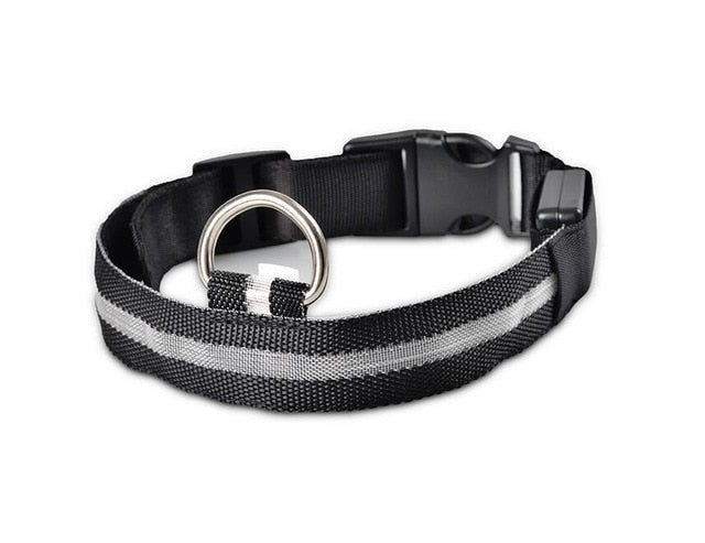 LED Dog Collar Night Safety Flashing - Thepetlifestyle