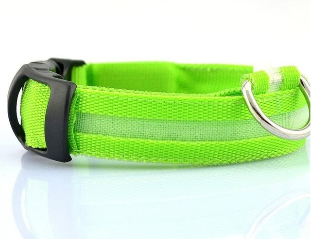 LED Dog Collar Night Safety Flashing - Thepetlifestyle
