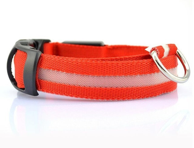 LED Dog Collar Night Safety Flashing - Thepetlifestyle