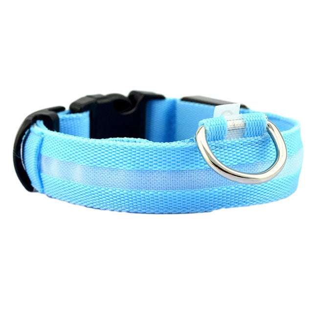LED Dog Collar Night Safety Flashing - Thepetlifestyle