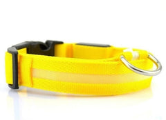LED Dog Collar Night Safety Flashing - Thepetlifestyle