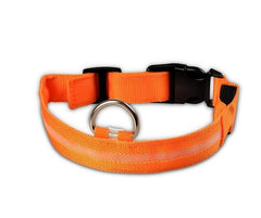 LED Dog Collar Night Safety Flashing - Thepetlifestyle