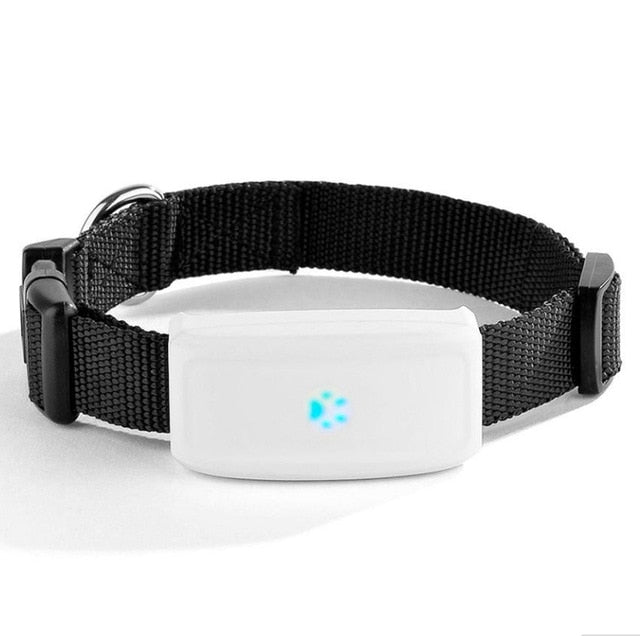 Waterproof Global Locator Real Time GPS Tracker - Thepetlifestyle