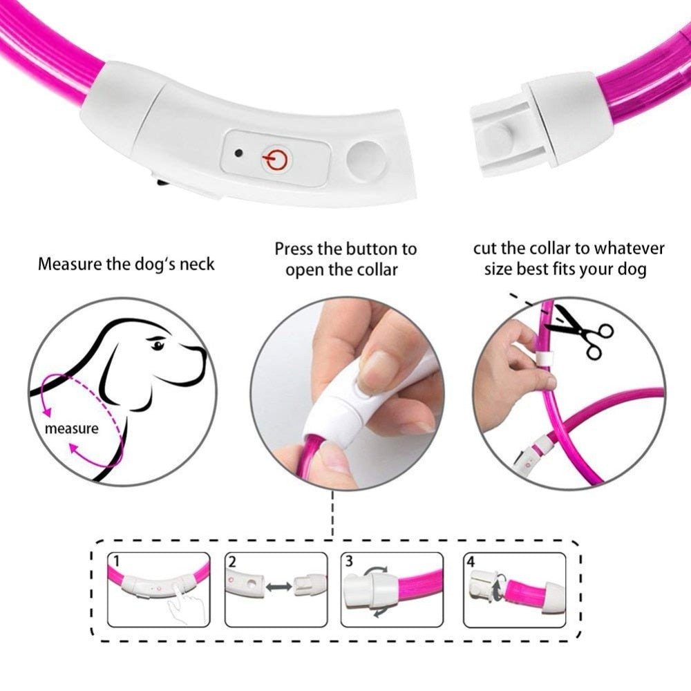 LED Dog Collar Light USB Rechargeable Collars - Thepetlifestyle