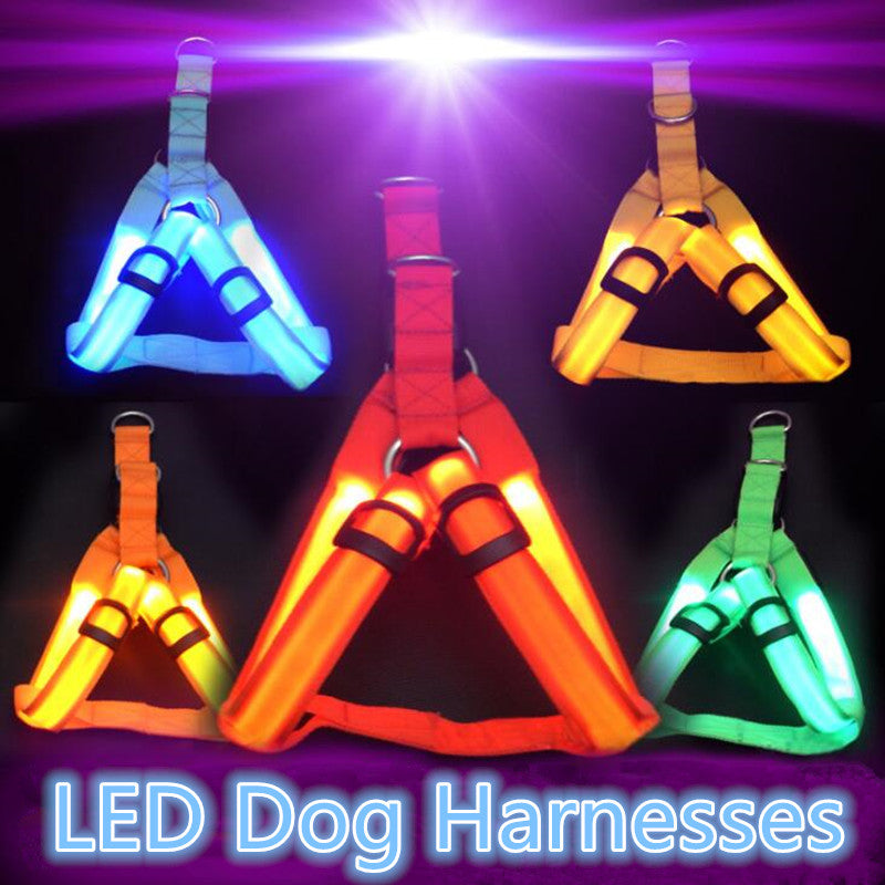 Pet Safety LED Harness Dog Product Flashing Light - Thepetlifestyle