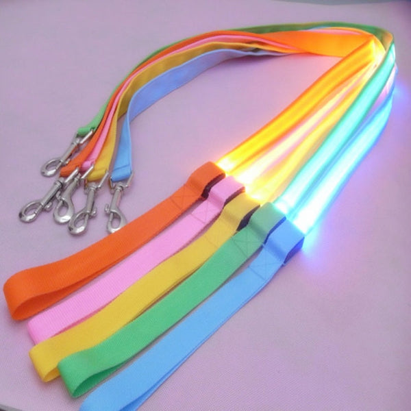 Best rechargeable LED Light Up Dog Leash - Thepetlifestyle