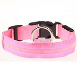 Dog Collar LED Light Night Safety - Thepetlifestyle