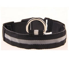 Dog Collar LED Light Night Safety - Thepetlifestyle