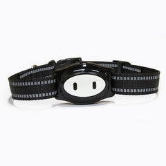 Waterproof GSM GPS Tracker Locator Collar For Dog - Thepetlifestyle